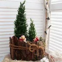 C Новым Годом 2017!