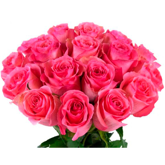 Роза розовая 40 см
